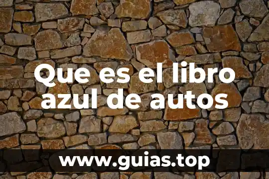 Que es significada concepto 4 Que es el libro azul de autos