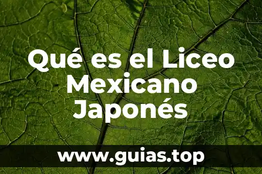 Que es mas facil aprender aleman o japones 3 Qué es el Liceo Mexicano Japonés