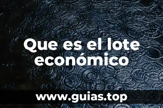 Qué es el número de lote en un producto 3 Que es el lote económico