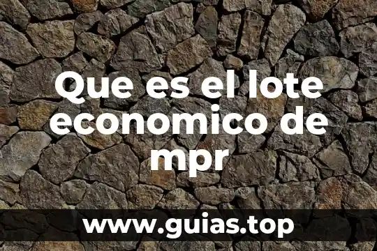 Qué es el número de lote en un producto 7 Que es el lote economico de mpr