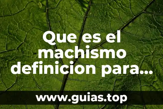 Qué es el machismo y tipos 5 Que es el machismo definicion para niños