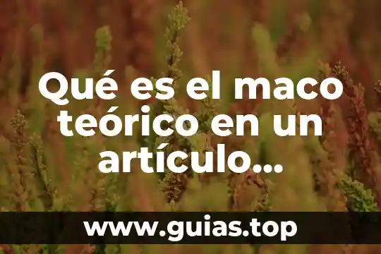 Que es tipos huelga que articulo 7 Qué es el maco teórico en un artículo científico