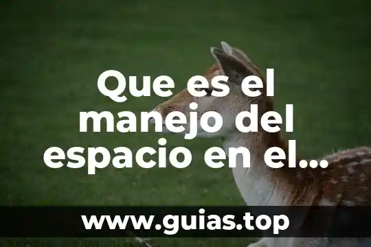 Que es cuadros en el teatro 3 Que es el manejo del espacio en el teatro