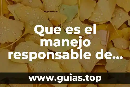 Cuadro sinóptico de que es la información cibernética 4 Que es el manejo responsable de la informacion