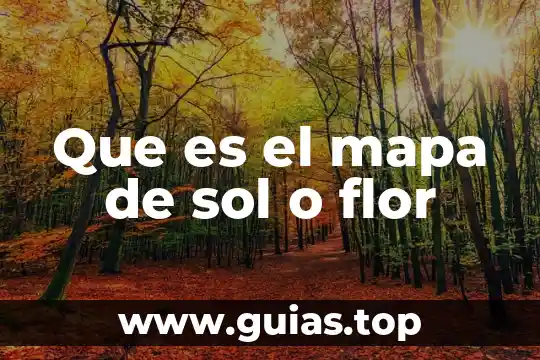 Que es un control proteccion 5 Que es el mapa de sol o flor
