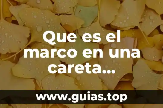 Que es marco muestral en matemática 6 Que es el marco en una careta electronica