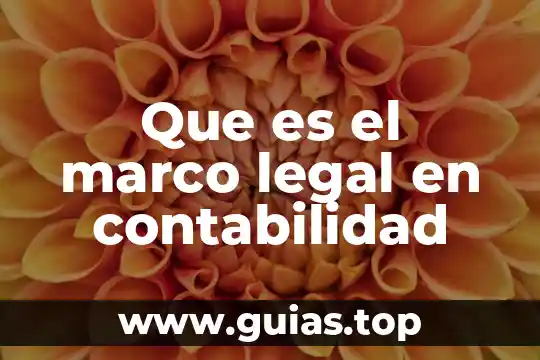 Que es ser representante legal 5 Que es el marco legal en contabilidad