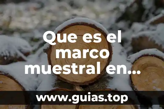 Que es marco muestral en matemática 7 Que es el marco muestral en marketing