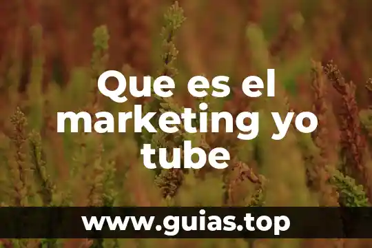 Que es una prueba de concepto en marketing 3 Que es el marketing yo tube