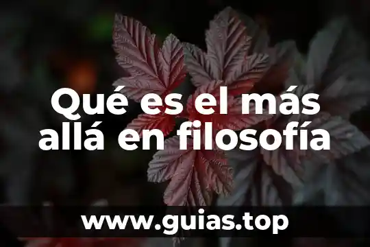 Qué es más importante el PIB o PIB APP 8 Qué es el más allá en filosofía