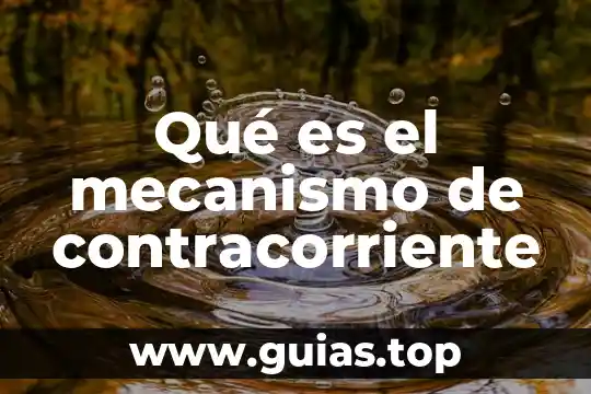 Que es un mecanismo animal 7 Qu茅 es el mecanismo de contracorriente