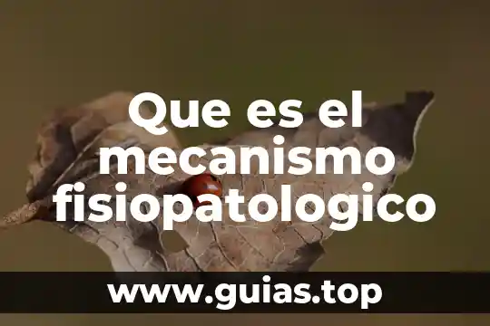 Que es un mecanismo animal 6 Que es el mecanismo fisiopatologico