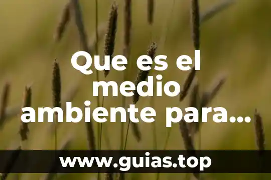 Que es meco en mexico yahoo 5 Que es el medio ambiente para niños de quinto grado