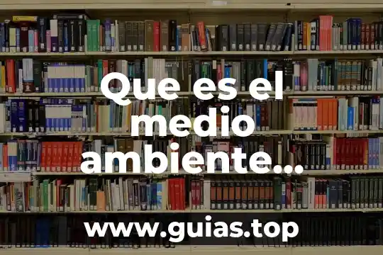 Que es ambiente escolar inclusivo 6 Que es el medio ambiente primavea