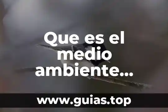 Que es ser fiel a una persona 5 Que es el medio ambiente resumen largo