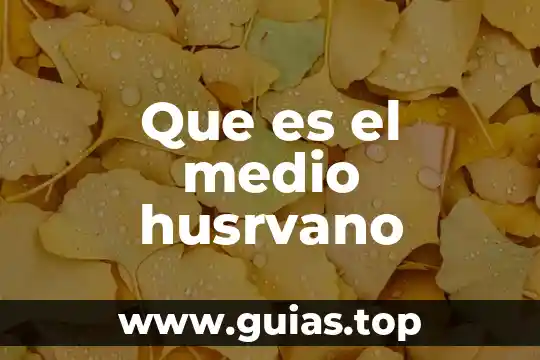 Que es medio geografia concepto 6 Que es el medio husrvano