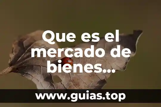 Que es el mercado de dinero y de capitales 6 Que es el mercado de bienes capitales