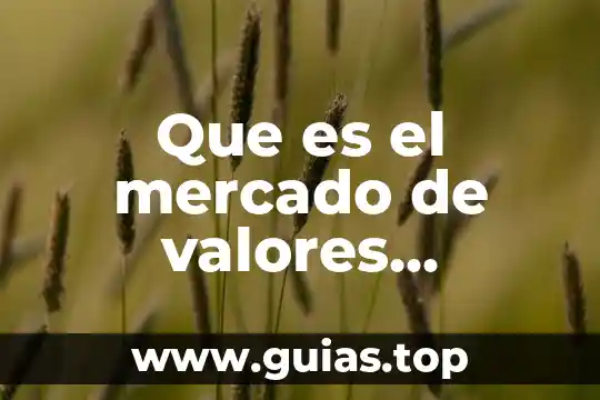 Que es el mercado y tipos de mercado 4 Que es el mercado de valores banxico