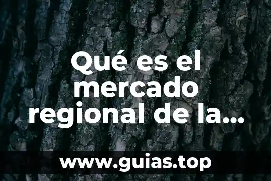 Qué es la sala regional toluca 3 Qué es el mercado regional de la consultoría