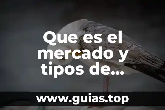Que es lineamientos del mercado 4 Que es el mercado y tipos de mercado