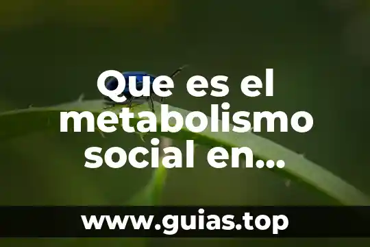 Que es ser de la comunidad lgbt 7 Que es el metabolismo social en comunidad