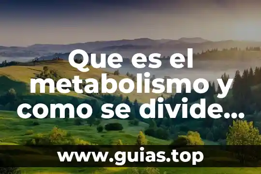 Que es estudio del banco de semillas concepto 8 Que es el metabolismo y como se divide su estudio