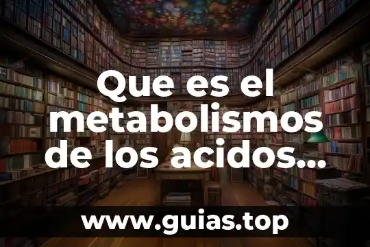 Qué es la función de los ácidos nucleicos 3 Que es el metabolismos de los acidos nucleicos