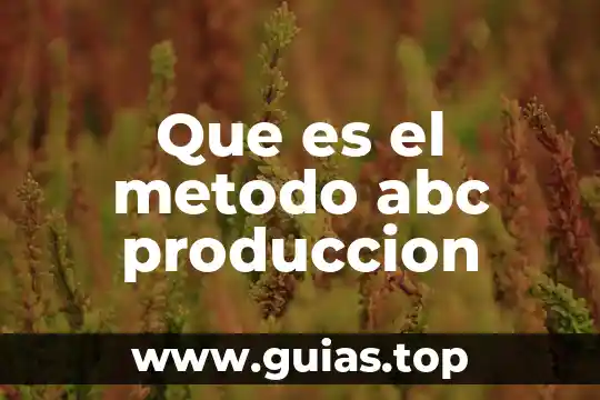 Qué es bienes concepto en definición abc 4 Que es el metodo abc produccion