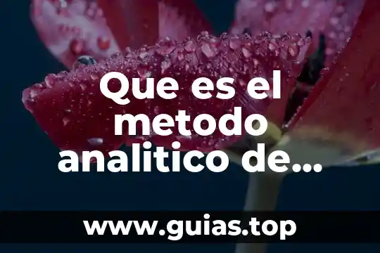 Pensamiento geometrico analitico que es una linea recta 5 Que es el metodo analitico de palabras