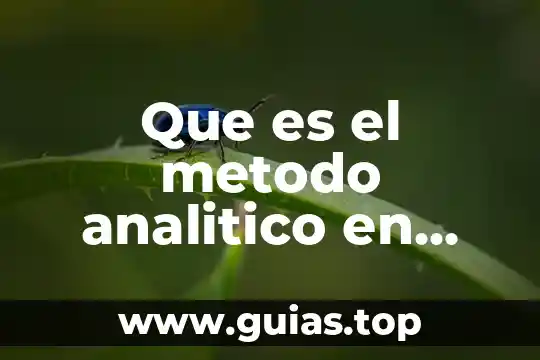 Pensamiento geometrico analitico que es una linea recta 4 Que es el metodo analitico en tesis