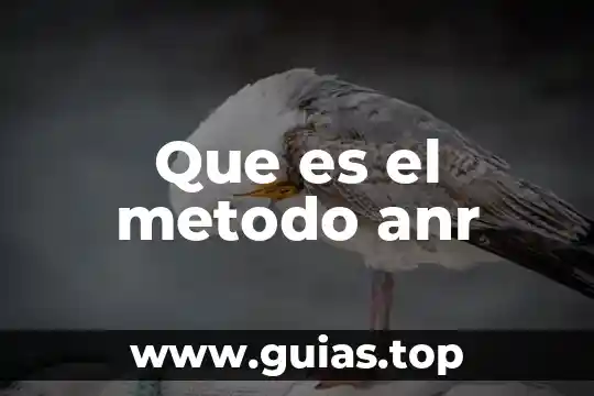 Qué es maximización en método simplex 6 Que es el metodo anr