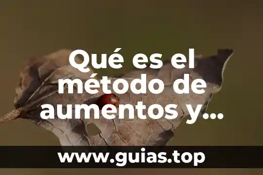 Que es arte ejepsio 3 Qué es el método de aumentos y disminuciones en geopolis