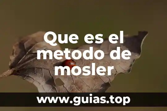 Qué es maximización en método simplex 5 Que es el metodo de mosler