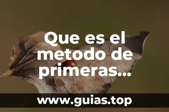 Que es el metodo y los tipos de metodo 4 Que es el metodo de primeras entradas primeras salidas