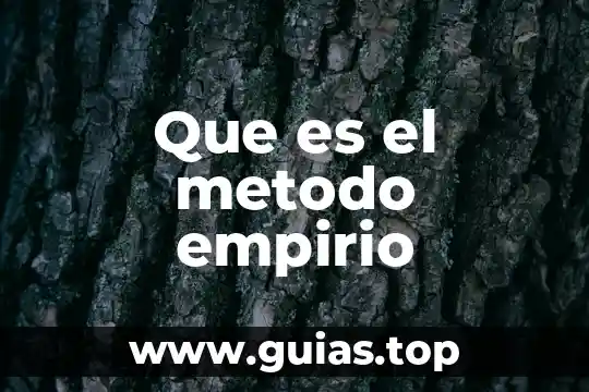 Que es el precio por unidad de concepto 3 Que es el metodo empirio