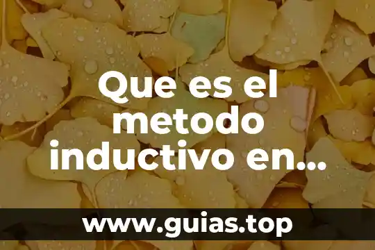 Que es argumento inductivo y ejemplos 5 Que es el metodo inductivo en estadistica