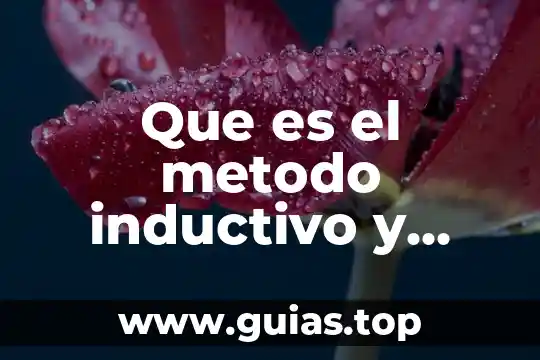 Que es la memoria cuales son sus tipos 7 Que es el metodo inductivo y cuales son sus pasos