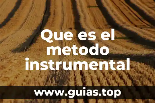 Qué es maximización en método simplex 7 Que es el metodo instrumental