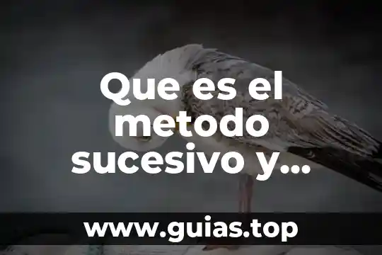 Que es la etica del cuidado concepto 6 Que es el metodo sucesivo y sincronico