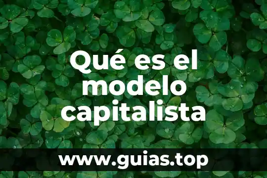 Que es ser un verdadero capitalista 5 Qué es el modelo capitalista