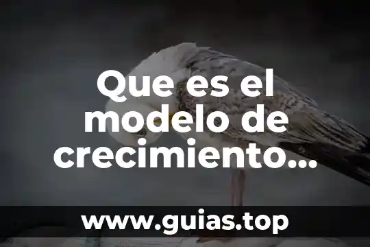 Qué es el modelo reflexivo en el deporte 3 Que es el modelo de crecimiento logistico