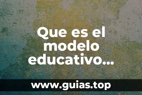 Que es el modelo educativo tecnocratico