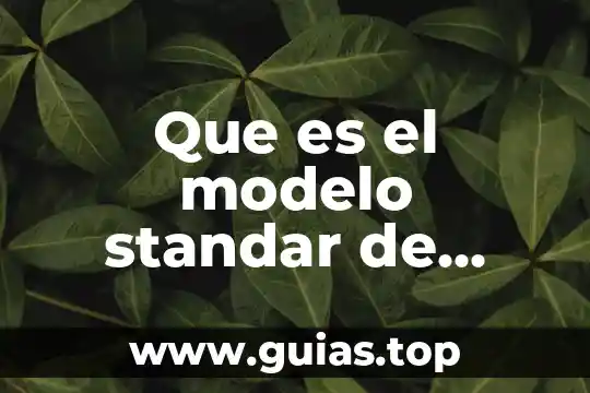 Que es campo de fuerzas 6 Que es el modelo standar de fuerzas