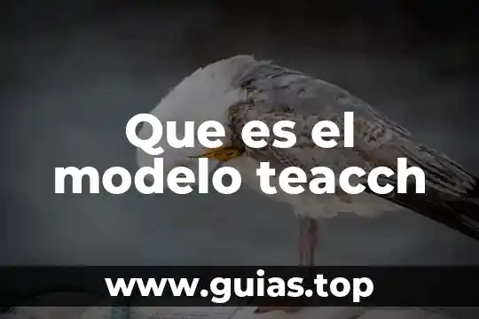 Que es el modelo col habilidades del pensamiento 6 Que es el modelo teacch