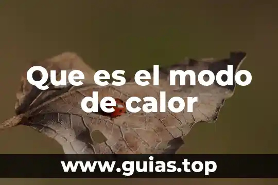 Qué es transferencia de calor y sus tipos 4 Que es el modo de calor