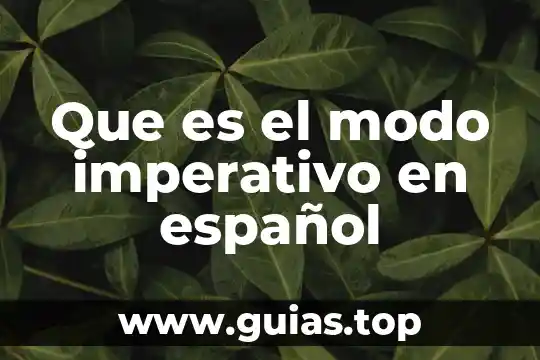 Que es ser imperativo 5 Que es el modo imperativo en español