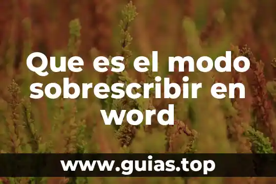Que es formato de número de página en word 3 Que es el modo sobrescribir en word