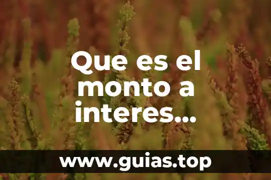 Que es monto del programa bbva 6 Que es el monto a interes compuesto yahoo