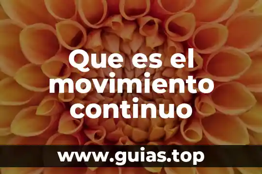 Que es el mapa de sol o flor 4 Que es el movimiento continuo