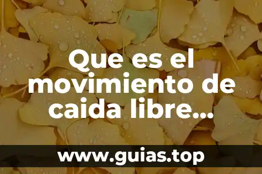 Qué es vértices de los cuerpos geométricos 5 Que es el movimiento de caida libre delos cuerpos